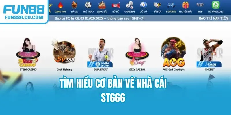 Tìm hiểu cơ bản về nhà cái ST666